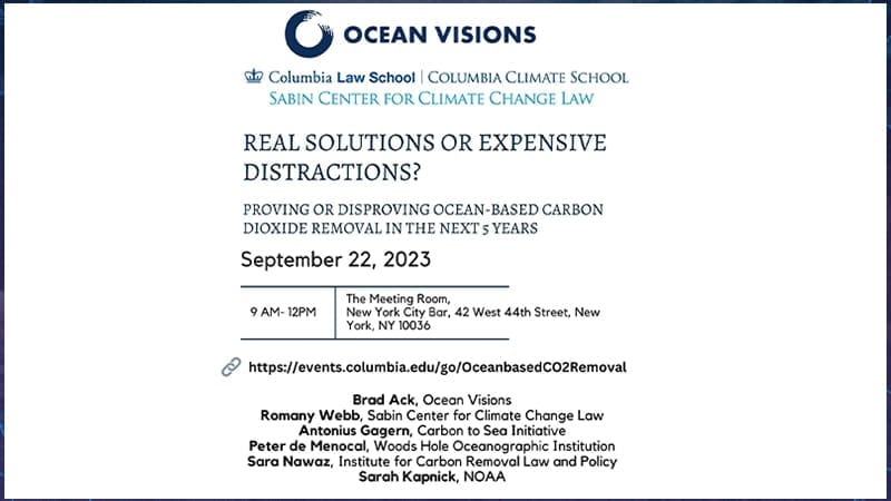 Climate Week NYC 2023: Real Solutions or Expensive Distracti